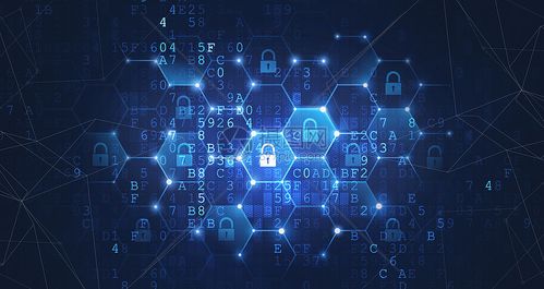 2025年入門網(wǎng)絡(luò)空間安全 前景、路徑與專精方向解析